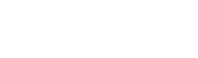 Vivian Solutions